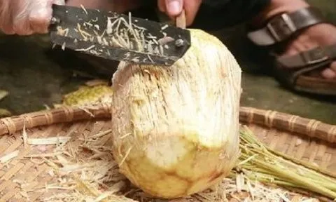 Thứ xưa hiếm ai ăn nay thành đặc sản dân phố thích mê, 40.000 đồng/kg
