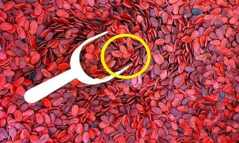 3 loại hạt "ngậm" hóa chất cực độc, nhất là cái số 2 nhiều người "ngó lơ"