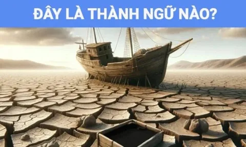Người thông minh mới đoán được đây là câu thành ngữ gì?