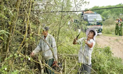 Điều ít biết về doanh nghiệp đang đầu tư công viên có vườn thú ở Huế