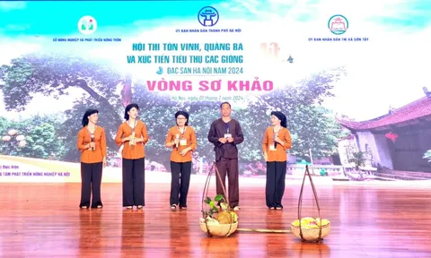 Tôn vinh, quảng bá và xúc tiến tiêu thụ các giống mít đặc sản Hà Nội