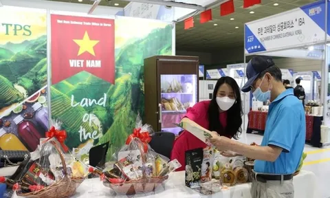 Hợp tác kinh tế Việt Nam - Hàn Quốc: Nâng tầm cả chất và lượng