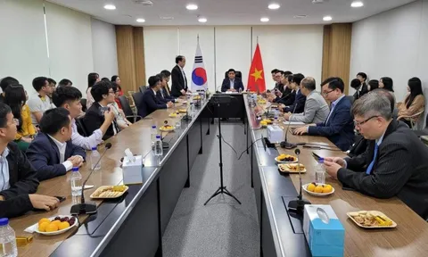 Tăng cường kết nối, mở rộng cơ hội hợp tác với Hàn Quốc trong đổi mới sáng tạo
