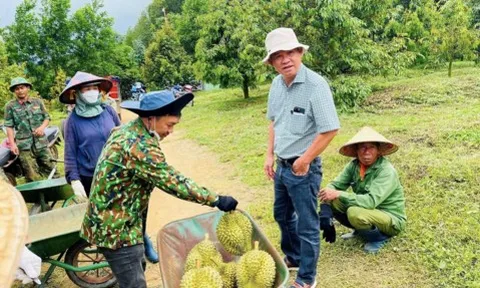 Hoàng Anh Gia Lai chậm trả gần 4.400 tỷ đồng gốc, lãi trái phiếu