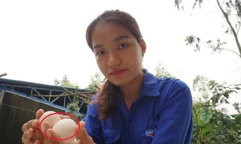 Chị nông dân 9X đút túi tiền tỷ nhờ nuôi con đặc sản “đen sì đẻ khỏe”
