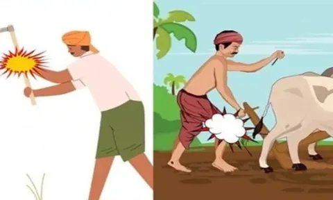 10 người thì 9 người không biết câu tục ngữ này là gì?