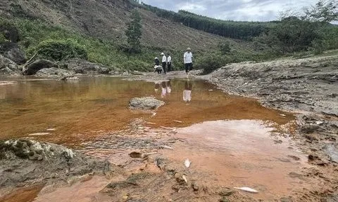 Nghệ An: Cá chết bất thường trên suối Bắc, trôi dạt vào hai bên bờ
