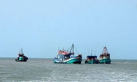 Cà Mau: Điều chỉnh hạn ngạch giấy phép khai thác thủy sản vùng ven bờ
