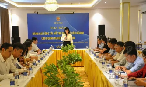 Đánh giá công tác hỗ trợ pháp lý doanh nghiệp nhỏ và vừa tại Bình Dương