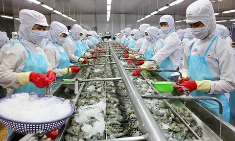 Thủy sản Việt Nam hút khách tại các thị trường lân cận