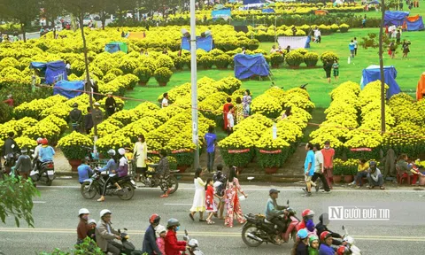 Ngập tràn cảnh sắc trên lối về những miền hoa Bình Định ngày Xuân