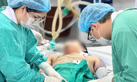 Thủy đậu ở người trẻ khỏe: Biến chứng nguy kịch, cảnh báo không được chủ quan
