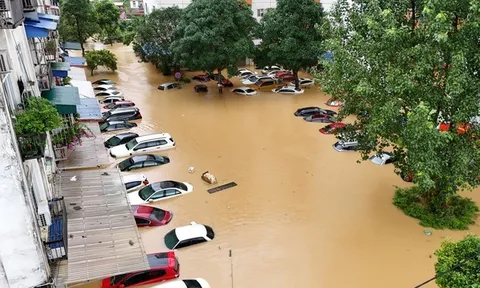 Chuyện ngập lụt và...