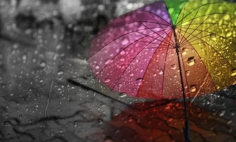 Đừng hỏi mưa rơi ở phố nào