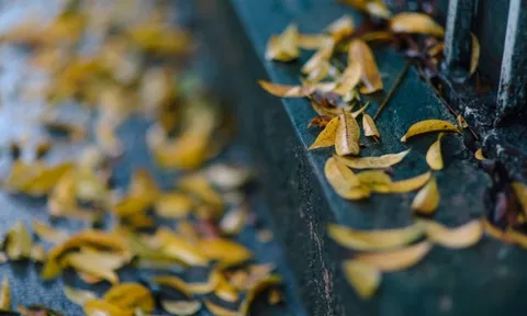 Trai phố cổ – Những công tử hào hoa của thời bao cấp