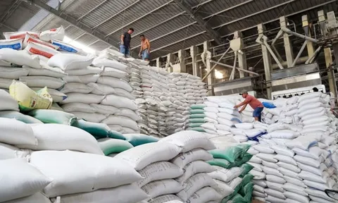 Bản tin 15/11: Cấp hơn 1.750 tấn gạo cứu đói khẩn cấp cho người dân Đắk Lắk