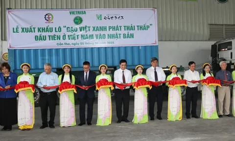 Hơn 70.000 tấn “Gạo Việt xanh, phát thải thấp” được cấp nhãn hiệu: Bước tiến mới của gạo Việt