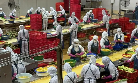 Khoa học nông nghiệp: Từ phòng thí nghiệm đến cánh đồng