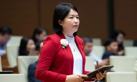 Kiến nghị nới ngoại lệ cho dự án giáo dục - y tế, tăng minh bạch và số hóa trong công tác quy hoạch