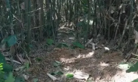 Đi đào giun, người đàn ông phát hiện kho báu quý giá