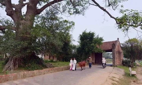 Làng Việt - Nơi lịch sử thở bằng đất