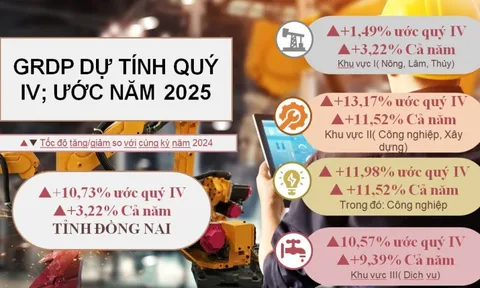 Đồng Nai bứt phá mạnh mẽ, GRDP năm 2025 vượt mục tiêu, khẳng định vai trò đầu tàu kinh tế của vùng và cả nước