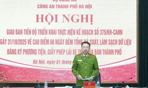 Hơn 130.000 trường hợp được xác minh sau 18 ngày cao điểm làm sạch dữ liệu phương tiện và giấy phép lái xe