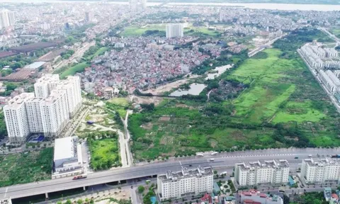 Bộ Xây dựng trả lời kiến nghị làm rõ tiêu chí thẩm định chủ đầu tư dự án nhà ở xã hội theo cơ chế đặc thù