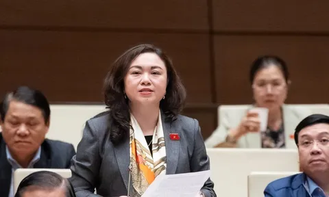 ĐBQH nêu lý do cần có thẩm phán toà chuyên biệt là người nước ngoài