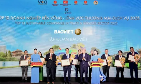 CSI 2025: Ghi nhận động lực chuyển đổi xanh doanh nghiệp