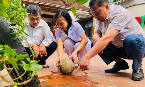 Hà Nội kiểm soát tốt dịch sốt xuất huyết, số ca mắc giảm mạnh