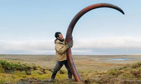 Nghề lạ: Kiếm tiền tỷ trong 2 tháng nhưng ít ai dám làm