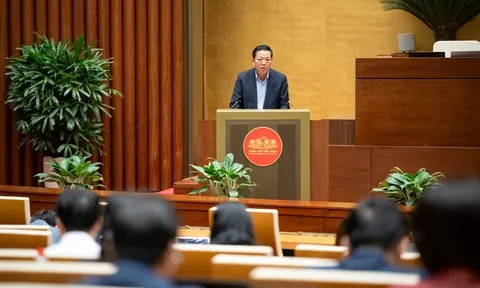 Chuyến bay bị chậm, bị hủy, hãng hàng không bảo đảm việc ăn, nghỉ, đi lại và chi trả các chi phí liên quan