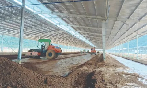 Thanh tra Chính phủ "điểm tên" 2 dự án nghìn tỷ chậm tiến độ ở Tuyên Quang