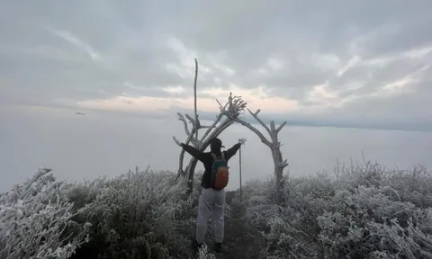 Dự báo thời tiết 13/12: Miền Bắc sắp đón không khí lạnh rất mạnh, nơi nào xuất hiện băng giá?