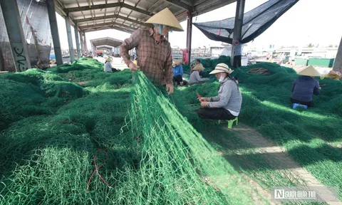 Nghề đặc biệt ở làng chài