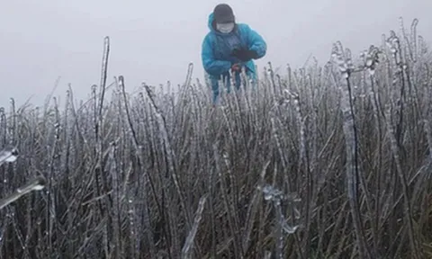 Dự báo thời tiết 14/12: Tin mới nhất về đợt không khí lạnh "lạ thường", dự báo thời điểm rét nhất