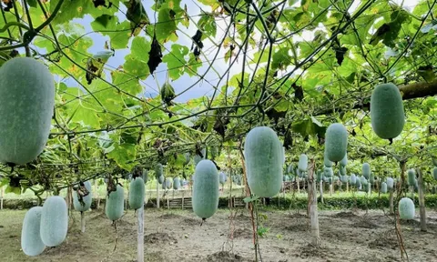 Giảm nghèo về thông tin: Dấu ấn đồng hành của doanh nghiệp tại Thái Nguyên