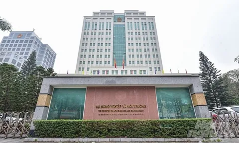 Góc nhìn Người Đưa Tin: 10 sự kiện nổi bật ngành nông nghiệp và môi trường năm 2025