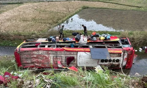 Vụ lật xe khách chở 22 người: Tài xế khai buồn ngủ nên mất lái