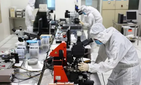 Xây dựng Mạng lưới chuyên gia AI Việt toàn cầu