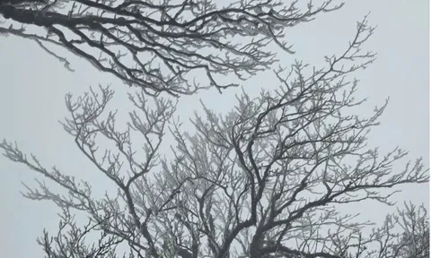 Miền Bắc đón đợt gió mùa Đông Bắc cường độ mạnh khiến "rét chồng rét"