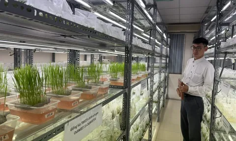 Khoa học công nghệ dẫn dắt nông nghiệp Việt Nam vượt “giới hạn” tăng trưởng truyền thống