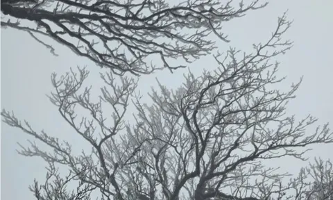 Miền Bắc rét đậm khi đón đợt không khí lạnh cường độ mạnh trên diện rộng