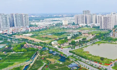 Dự án đầu tư kinh doanh nào phải tổ chức đấu thầu lựa chọn nhà đầu tư?