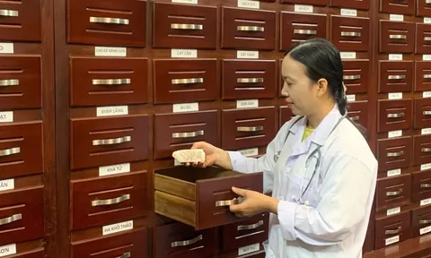 Lần đầu tiên ban hành phác đồ kết hợp y học cổ truyền và hiện đại cho 16 bệnh phổ biến