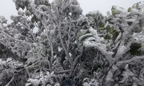 Miền Bắc duy trì trạng thái rét sâu dưới 9 độ C, sắp tăng cường đợt không khí lạnh mới?