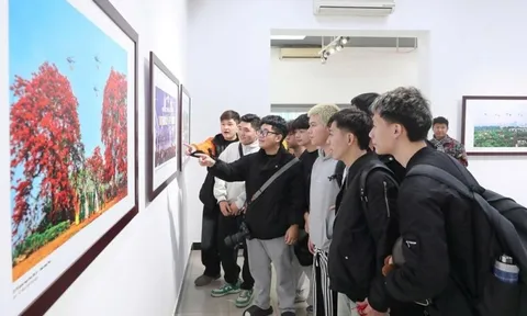 Triển lãm ảnh 'Mừng Đảng, mừng xuân và chào mừng thành công Đại hội lần thứ XIV của Đảng'
