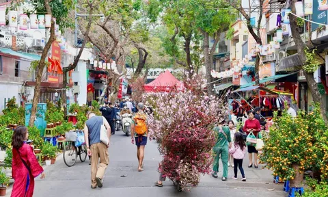 Sắc xuân trên chợ hoa Hàng Lược: ‘Hơi thở’ Tết giữa lòng Hà Nội