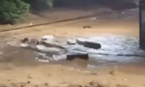 Người dân hét lớn khi bắt gặp cảnh tượng đáng sợ trên phố